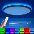 Black RGB LED Ceiling Light