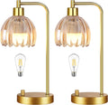 Tulip Glass Table Lamps Set