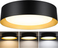 Black Gold LED Ceiling Light