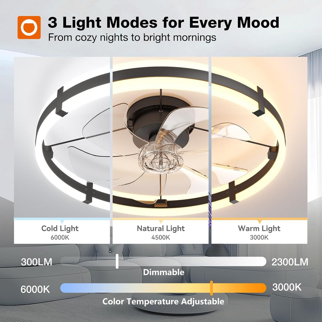 Black Low Profile Ceiling Fan Light