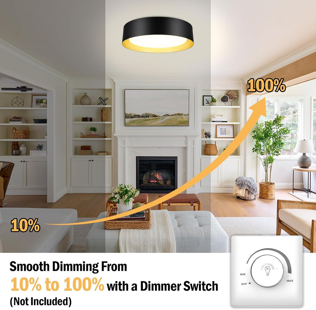 Black Gold LED Ceiling Light
