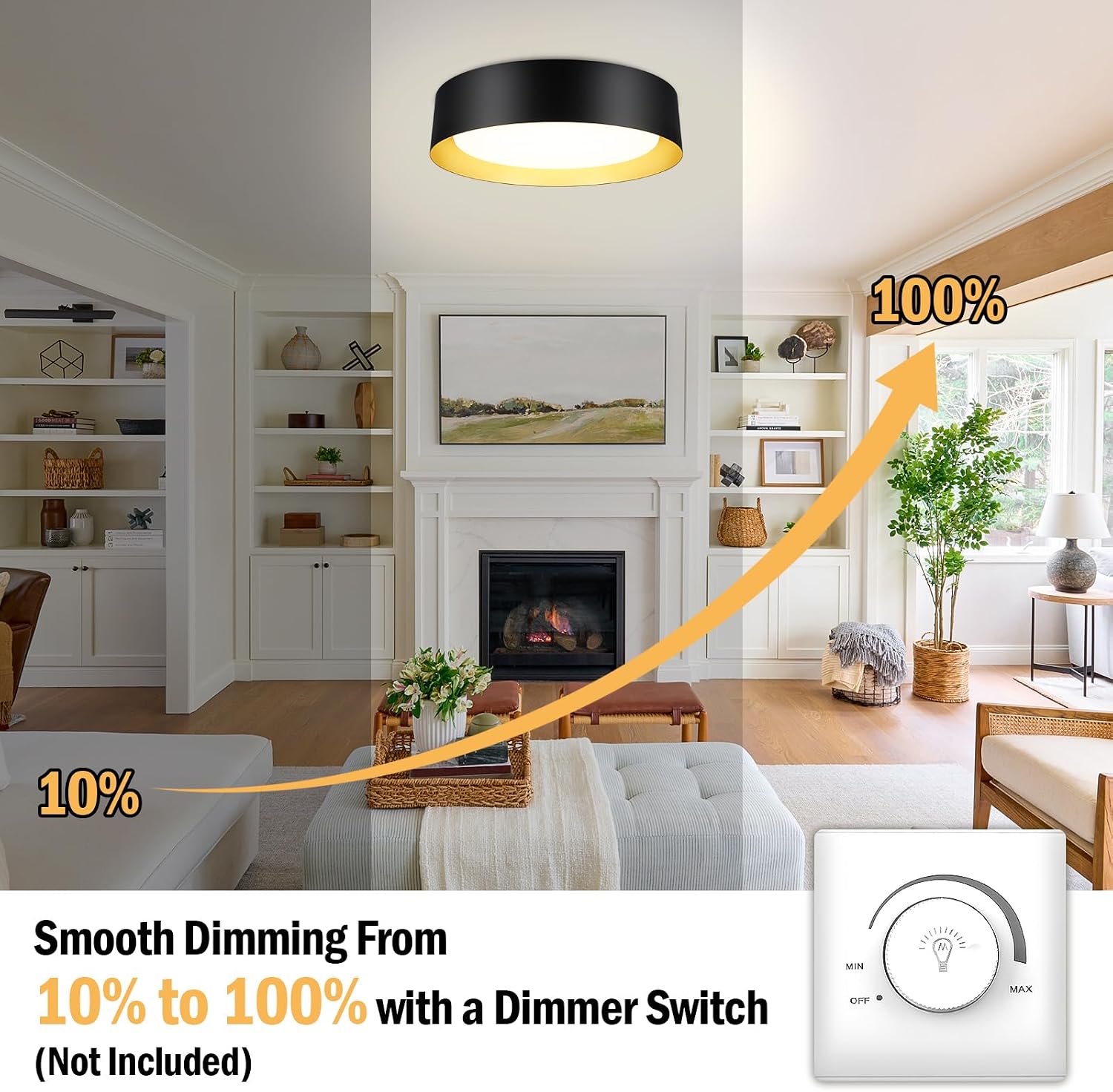 Black Gold LED Ceiling Light