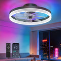 Black RGB Low Profile Ceiling Fan Light