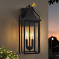 Black Dusk to Dawn 2-Light Outdoor Wall Sconce
