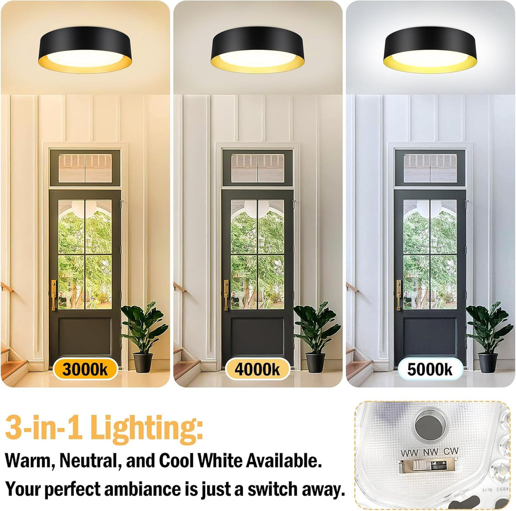 Black Gold LED Ceiling Light